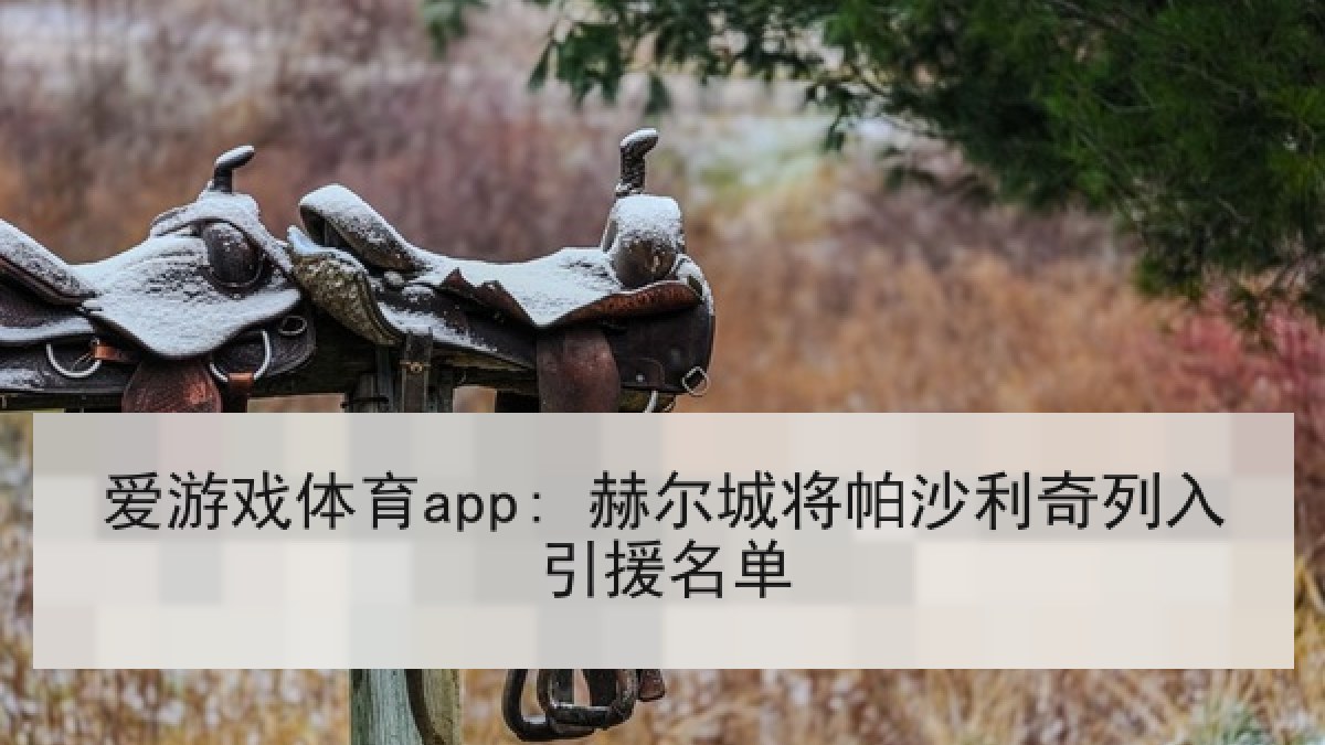 爱游戏体育app: 赫尔城将帕沙利奇列入引援名单
